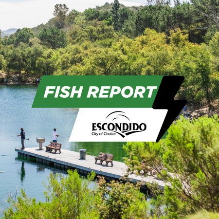 Fish Report News Flash