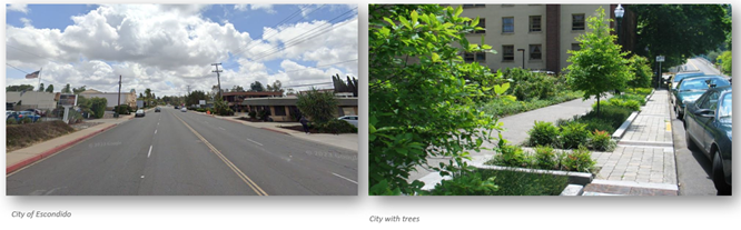 Photo of street side by side with a sidewalk full of trees